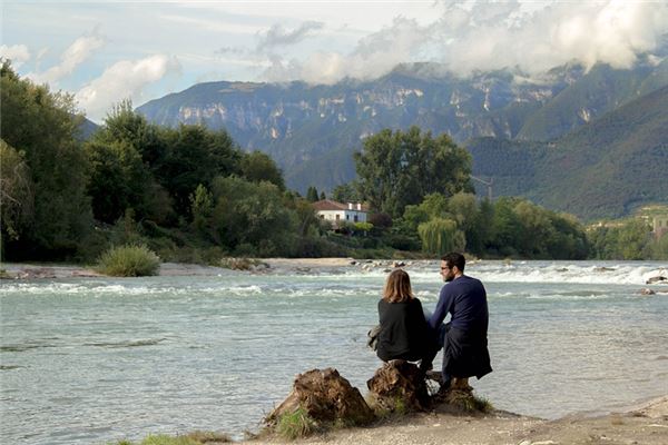 狗男牛女：婚姻配对指数揭秘狗男牛女：天生一对还是爱情挑战？