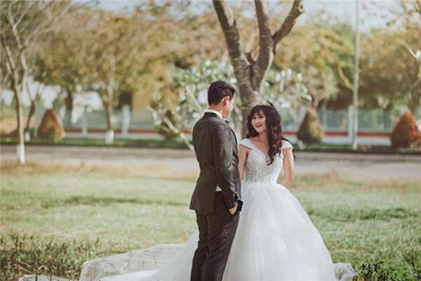 狗女猪男：婚姻相配，幸福无忧狗猪婚配：情投意合，白头偕老
