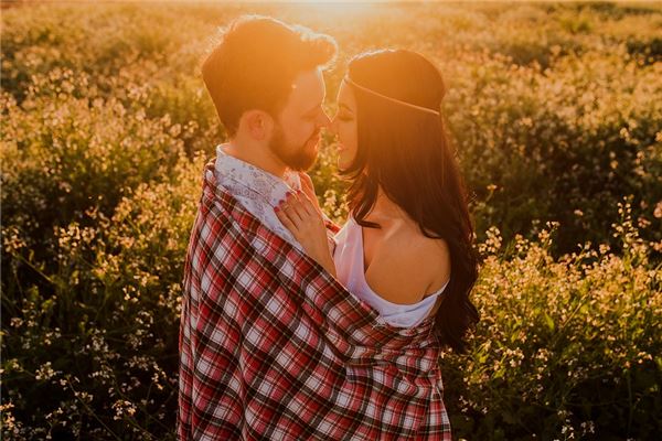 属鼠女与属猪男：天生一对还是互补搭档？鼠猪配对：属鼠女与属猪男的爱情之路如何？