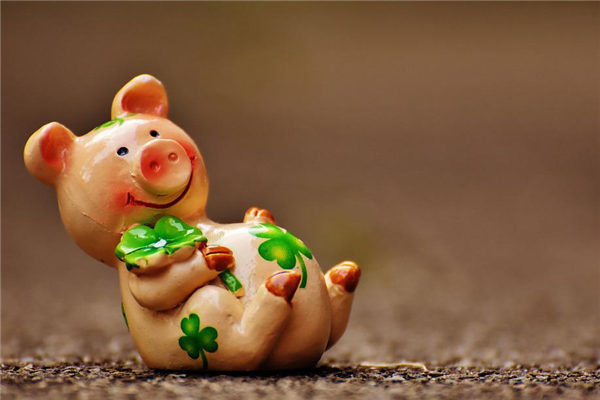 属猪男忌讳生肖：三大生肖让属猪男陷入困境属猪男最忌讳的三个生肖：小心避开，运势更顺！