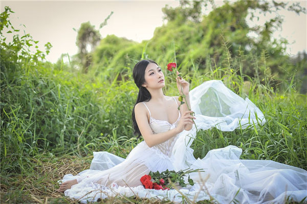 百年一遇牛年，运势爆棚牛年大吉，运势如虹，2023年必胜（标题中已包含关键词）