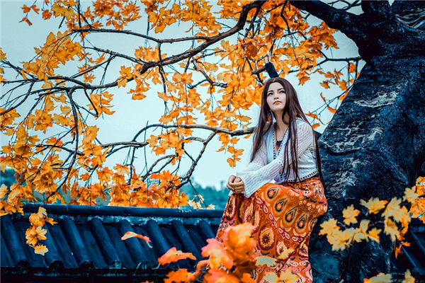 2023年属龙人运势大揭秘：最旺颜色引领你走向成功色彩预测：2023年属龙人最旺颜色帮你旺运连连