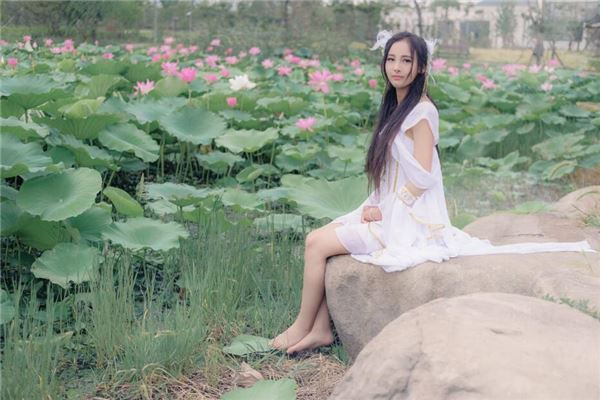 属牛85年运势揭秘：横财运爆发，钱途无量！1985属牛财神降临，大富大贵不再遥远！