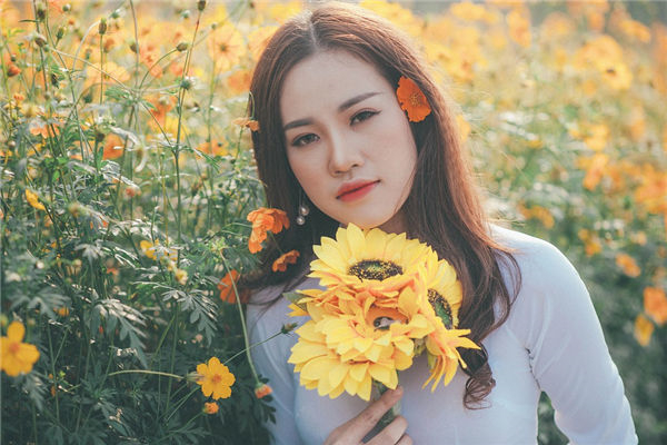 好的，以下是两个吸引眼球的标题：“龙虎共处和谐家庭”