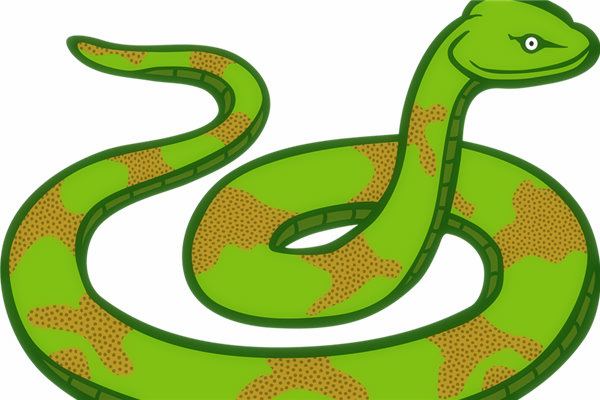 属蛇的克星揭秘：生肖猴竟是最大敌人生肖蛇贵人揭秘：生肖牛或虎助其一臂之力